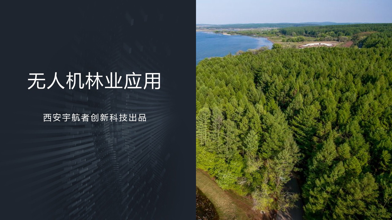 无人机在林业管理中的应用